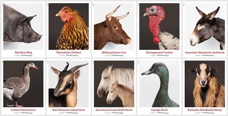 #.2021 US New Heritage Breeds Stamps