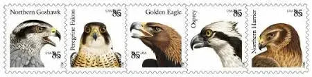 #.2012 US Birds of Prey 85 Cent Stamps
