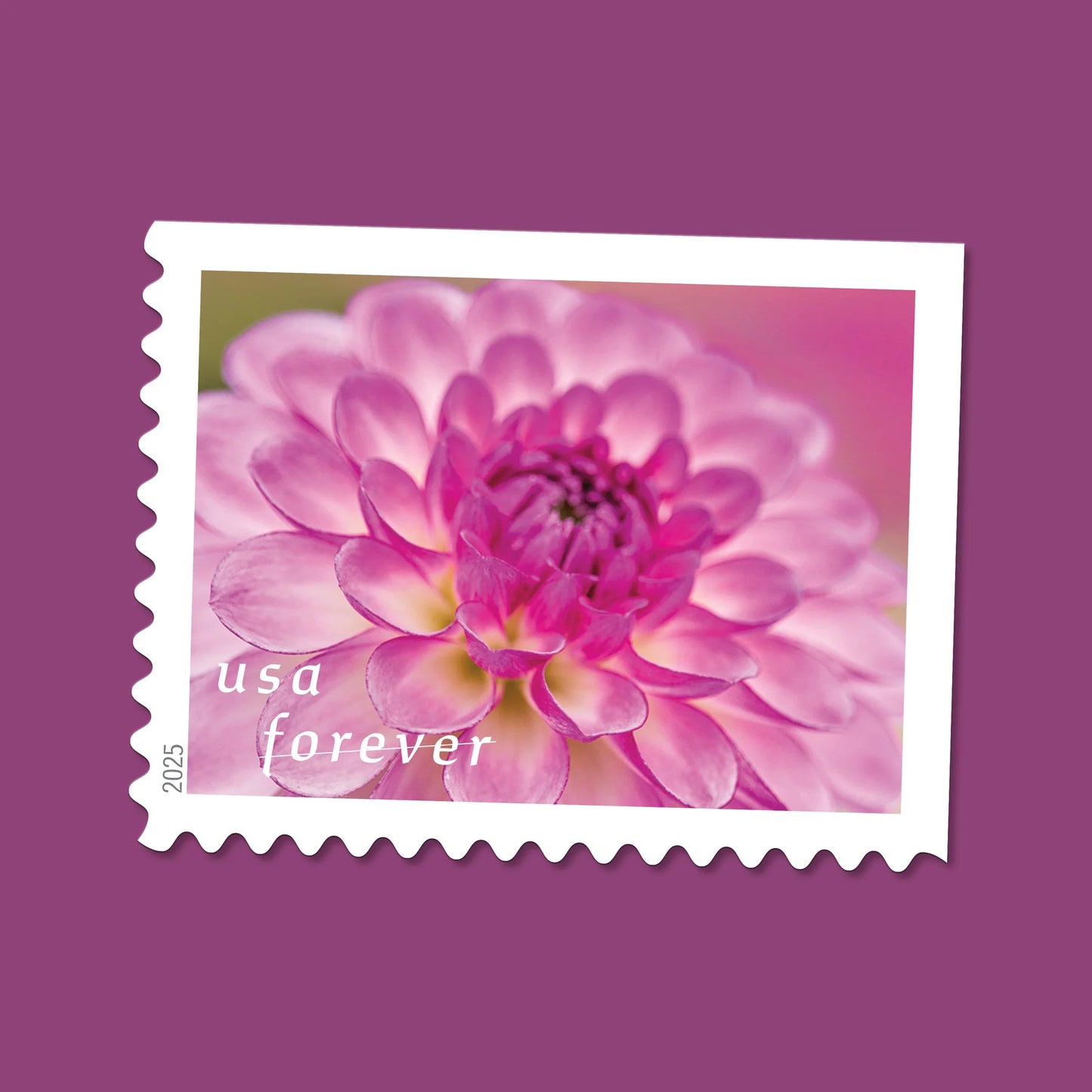 #.2025 Dahlias Stamps