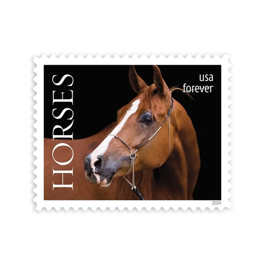 #.2024 Horses Stamps forever stamps