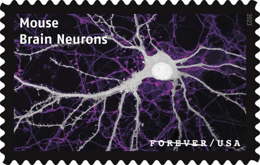 #.2023 Life Magnified Explores Life on Earth Stamps