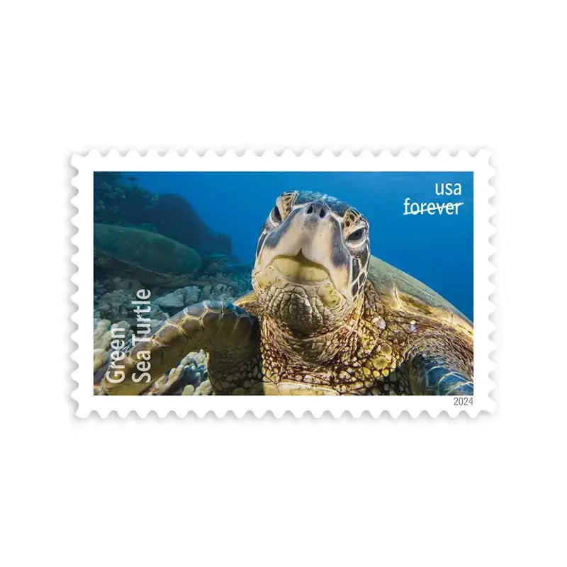 #.2024 Protect Sea Turtles Stamps