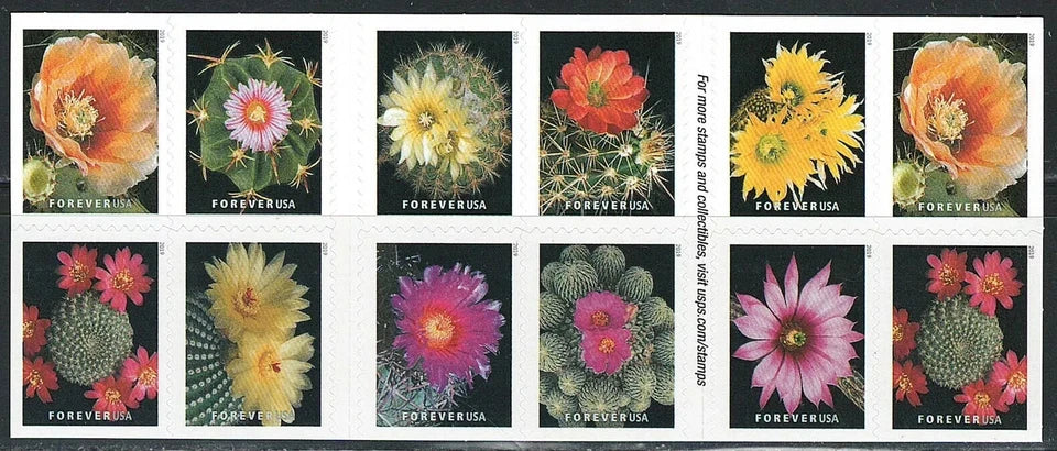 #.2019 US Cactus Flowers Forever First Class Postage Stamps