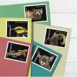 #.2023 US Endangered Species Stamps
