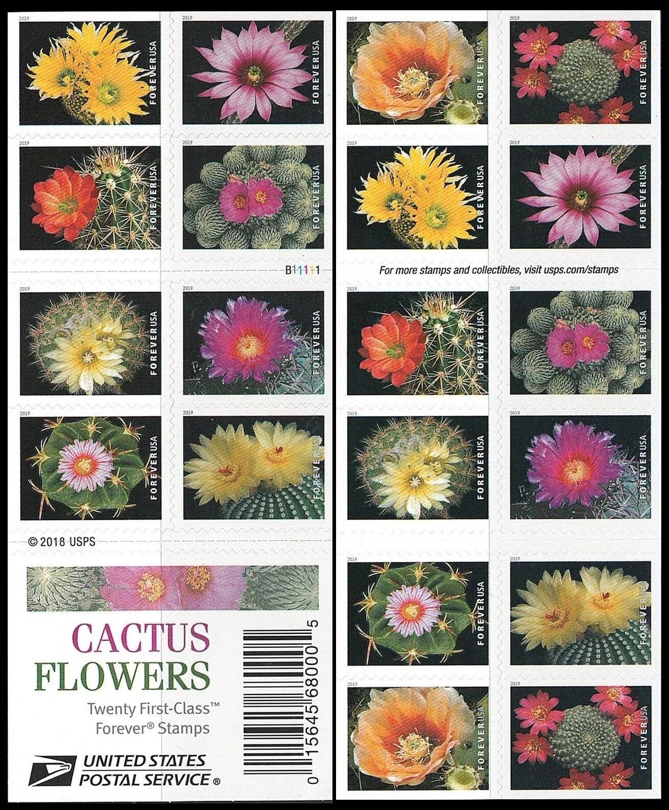#.2019 US Cactus Flowers Forever First Class Postage Stamps
