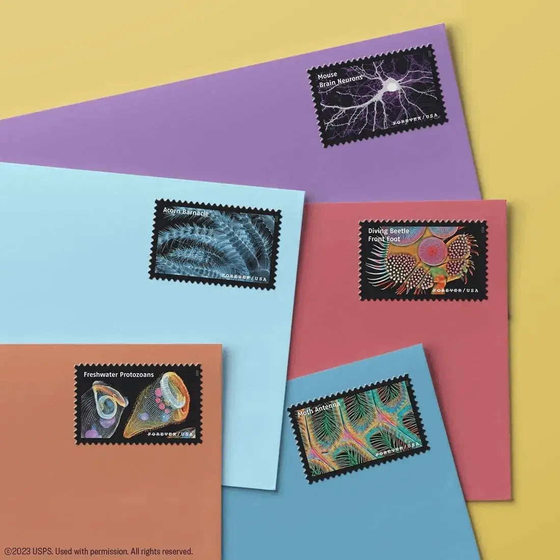#.2023 Life Magnified Explores Life on Earth Stamps