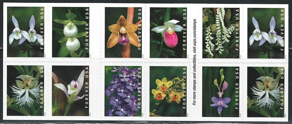 #.2020 US Wild Orchids Forever Postage Stamps