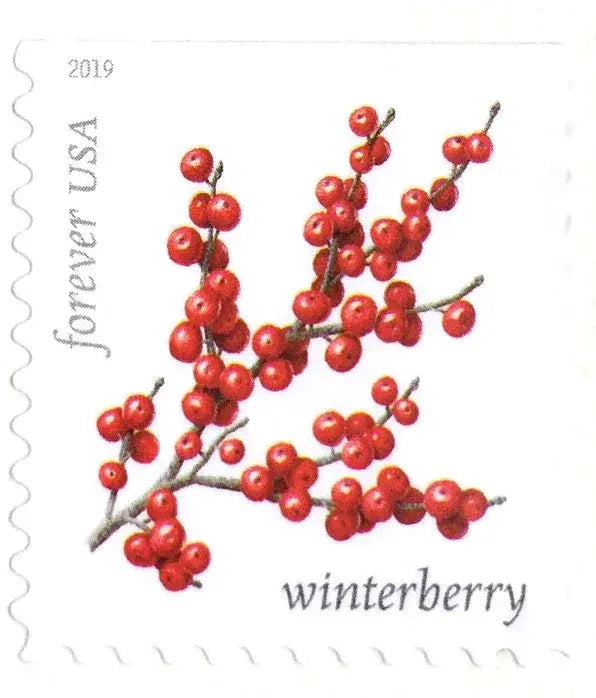 #.2019 US Winter Berries Stamps