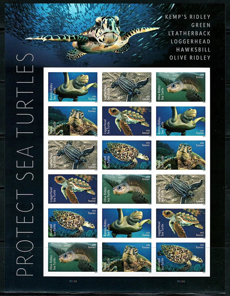 #.2024 Protect Sea Turtles Stamps