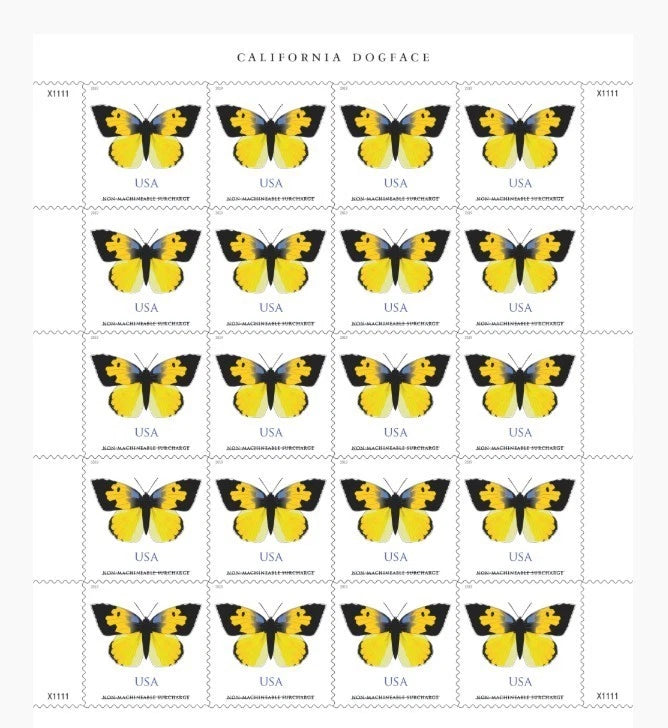 #.2019 California Dogface Butterfly Stamp