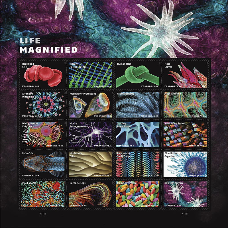#.2023 Life Magnified Explores Life on Earth Stamps