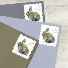 #.2021 Brush Rabbit Additional Ounce Stamps