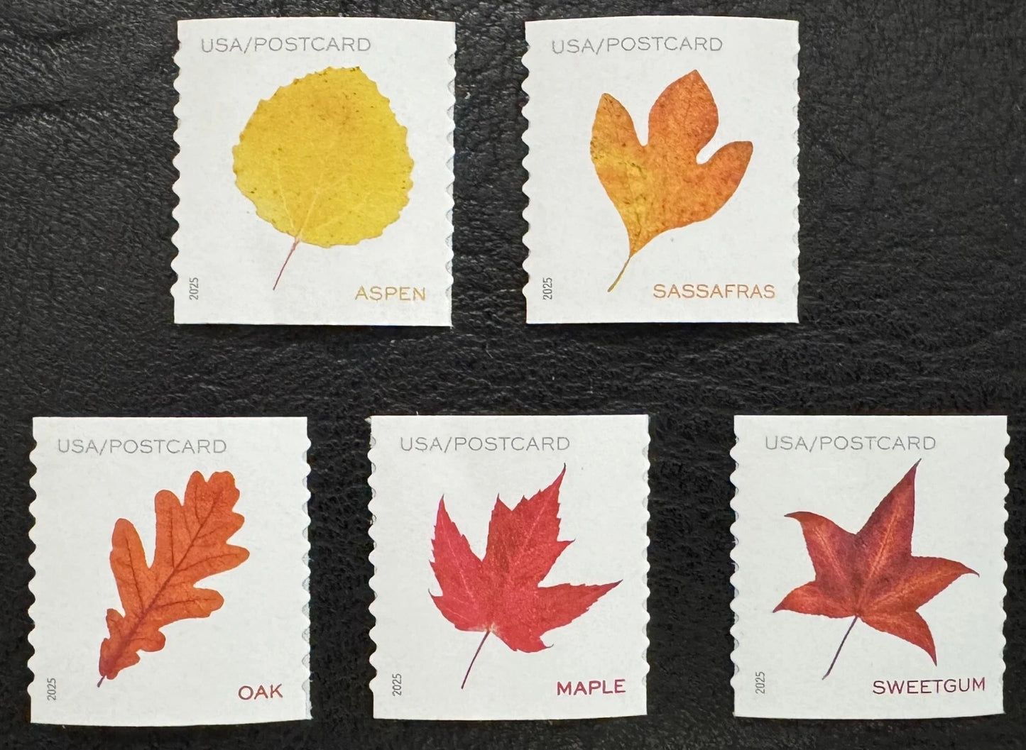 #.2025 Vibrant Leaves Postcard Stamps