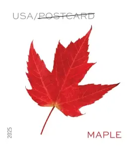 #.2025 Vibrant Leaves Postcard Stamps Coil