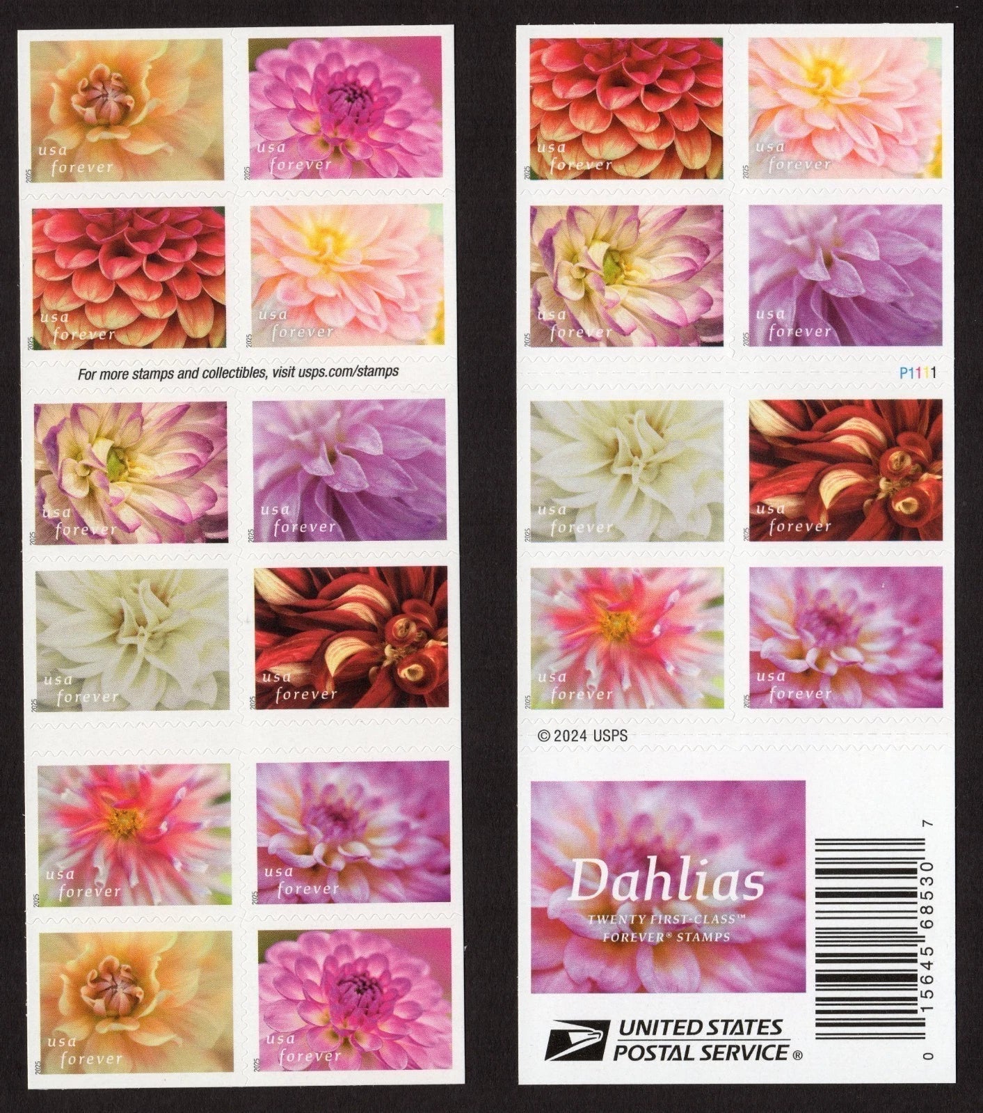 #.2025 Dahlias Stamps