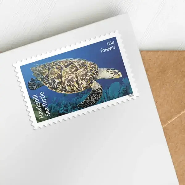 #.2024 Protect Sea Turtles Stamps