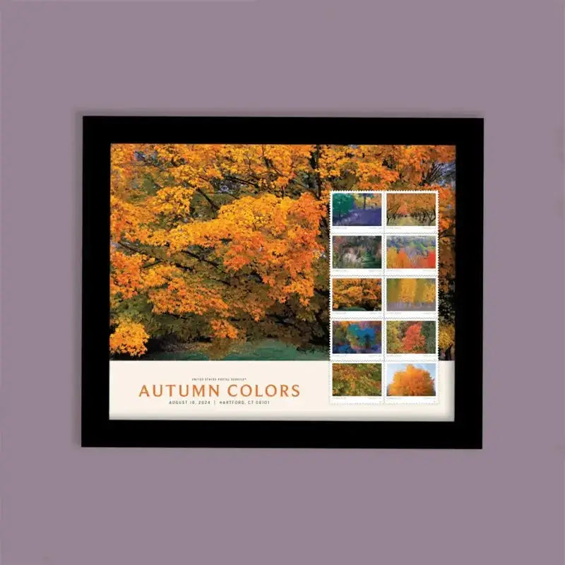 #.2024 US Autumn Colors Forever Stamps