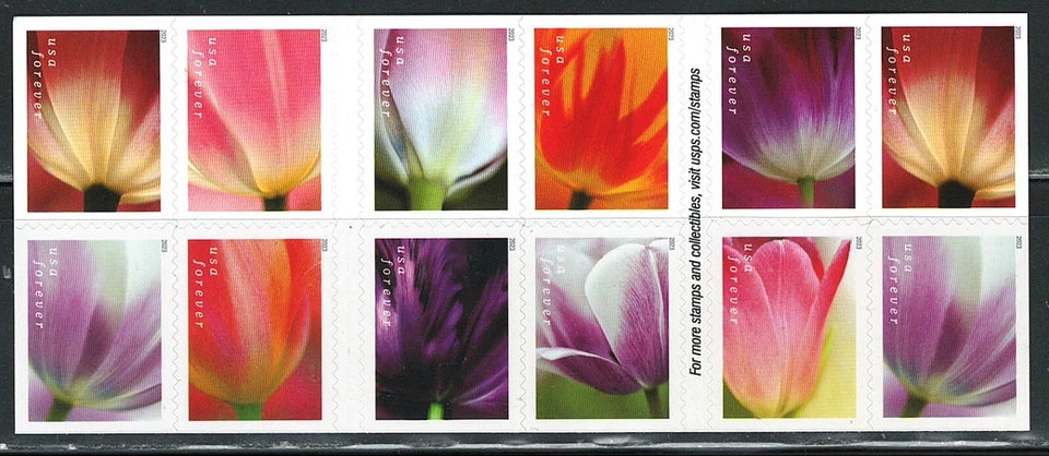 #.2023 US Tulip Blossoms Stamps