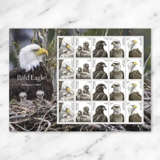 #.2026 Bald Eagle Hatchling to Adult Stamps