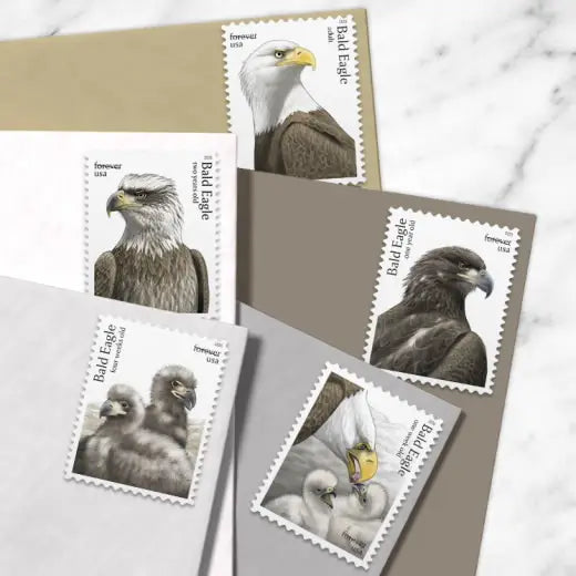 #.2026 Bald Eagle Hatchling to Adult Stamps